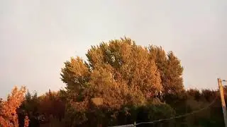 Прекрасная 🌈 Радуга после дождичка,красивое небо и карповые деревья