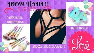 JOOM HAUL #3 / UNICORNS / BOOB BONDAGE / MERMAID BRUSHES / OH MY!!