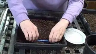 Part 2 Growing from Seed Starting Begins Greenhouse 2011