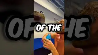 📷Real LOGAN PAUL Caught On Camera📷
