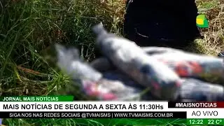 Idosa que esquartejou marido planejou assassinato e diz que era ameaçada: ‘não me valorizava