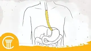 Same Day Surgery Malpractice