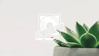 L'indécis - Simplicity