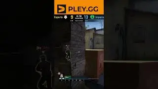chelo - ACE
