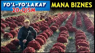 YOʻL-YOʻLAKAY. 20-QISM. MANA BIZNES