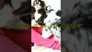 сегодня будет много видео