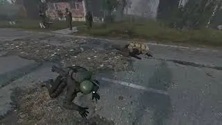 Самые лучшие асфальтоукладчики в зоне | DayZone | DayZ RP Stalker