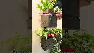 The Wall Planter You Didn't Know You Needed #InspiredHomeShow #Umbra #Planter