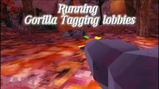 Running Gorilla Tagging lobbies || PART-1