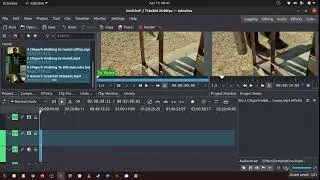 102 How to zoom in out in the timeline