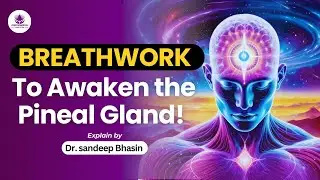 Unlock Your Third Eye: Techniques to Activate the Pineal Gland | How to Activate Your Pineal Gland?