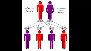 Explanation of Inheritance in php