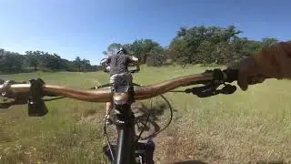 101 Trip with Steez