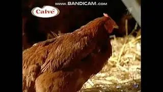 calve реклама