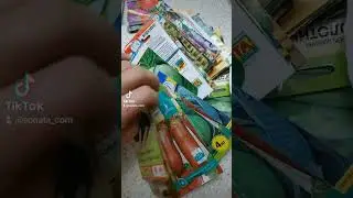 Каждый год одно и тоже🙈😂 Много семян не бывает😂 