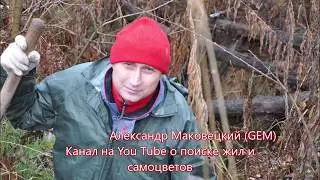 НАЙДИ ЖИЛУ КОПЬ GEMa