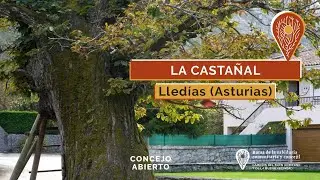 LA CASTAÑAL. (Lledías. Asturias) - Caminos del buen gobierno y la buena vecindad.