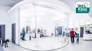 Welcome to Vet's Klinic