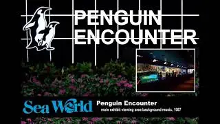 Sea World of Florida Penguin Encounter Main Exhibit BGM 1987