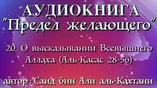 20. О высказывании Всевышнего Аллаха (Аль-Касас 28-56) (АУДИОКНИГА) Предел желающего