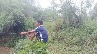 survival audiobook