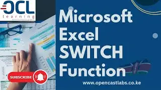 The Microsoft Excel SWITCH Function