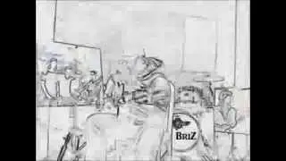 В.Чепенко ( Гр. BriZ ) - Два разных пути