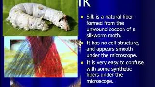 Forensic Fibers