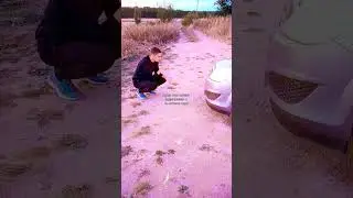 Друзья🫶 