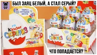 Сборка Киндер Сюрприз с зайчиком | Что там искать?