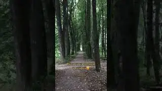 Один из моих бесплатных битов🌿 Остальные в паблике (ссылка в описании под моими видео), залетай🍂