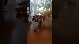 катаю на деке 6 мм 😂🤣🤣