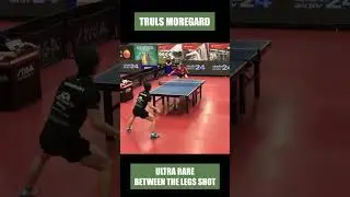 Truls Moregardh BETWEEN THE LEGS!?? #shorts #tabletennis