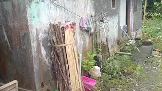 Review around the yard