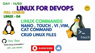 DAY 14/60 Linux-4| Intro to Commands | Create, Edit & Delete Files Using vi, vim, touch, cat & nano