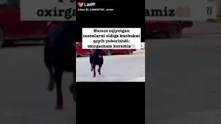 НАМОЗ ХАКИДА