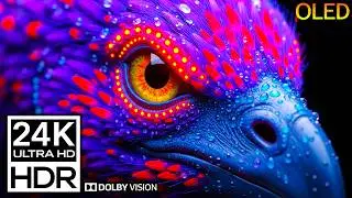 24K HDR 120FPS Glowing Marine Life Dolby Vision (8K/4K Video)