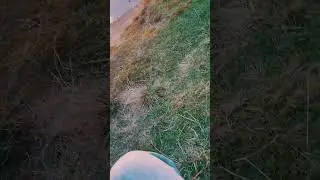 загорелась солнце в далеке рассвет