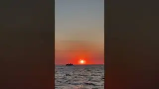 2 июля 2024 г.