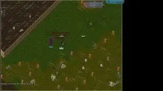 How to Kill Using Magery as the KillShot