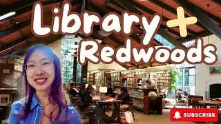 Mill Valley’s Library Hidden in the Redwoods 🌲 A Bookworm’s Forest Retreat 🌲