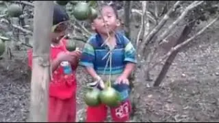 Jeruk ajaibbb