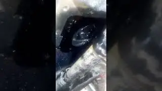 Проблема зниження тиску в кітайському тракторі, або в моторі КМ 385 ВТ.