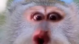 А у вас холодно?