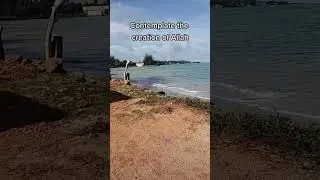Take the time to contemplate the creation of Allah (عزوجل)
