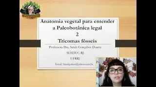 Anatomia vegetal para entender a  Paleobotânica legal 2 (Tricomas fósseis).