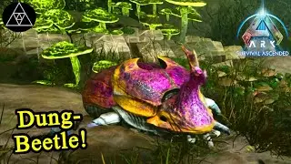 Ein pures Abenteuer - Scarabäus zähmen! ► ASA E48 - ARK: Survival Ascended
