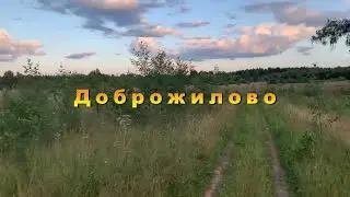 Отчёт о программе в  Доброжилово. 2021