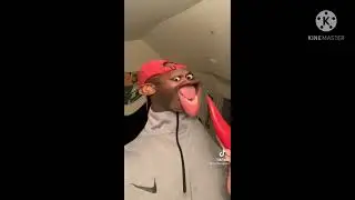 bobbys globe funniest tiktoks part 4(warning may die of laughter)