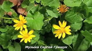Музыка Для Души,, ВЕСЕННЕЕ ВДОХНОВЕНИЕ ,,Музыка Сергей Грищук #МУЗЫКА #КРАСИВАЯМУЗЫКА